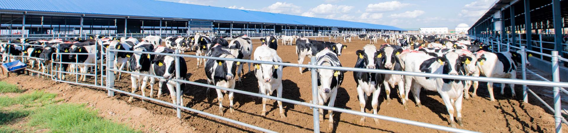 利来·国际[中国]最老牌-中国官网